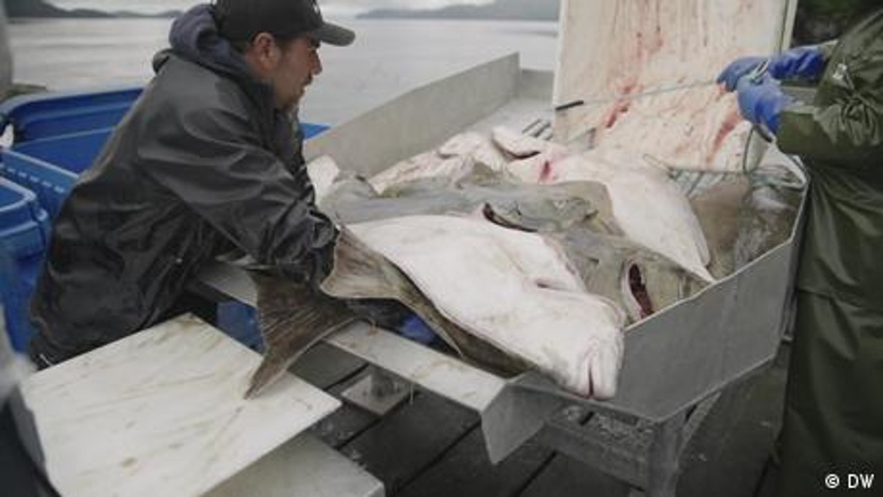 Chancen für Alaskas Fischer – Sanktionen gegen Russland