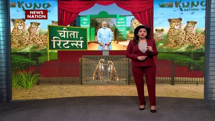 MP News: आ रहा है 'महाशिकारी' | 8 cheetahs to arrive this week | Cheetah Return | News Nation