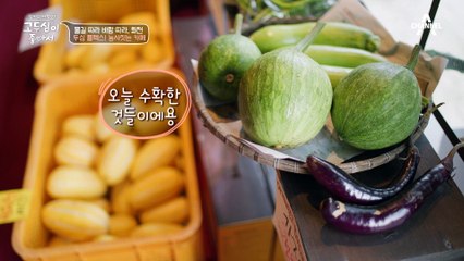 아이디어 굿♥ 모든 음료는 직접 재배한 재료로 만든다? 농사짓는 카페 들른 두심