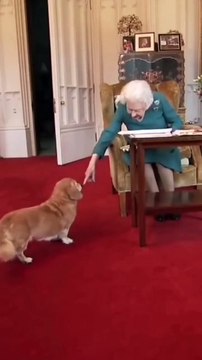 La reina Isabel II y uno de sus perros corgi