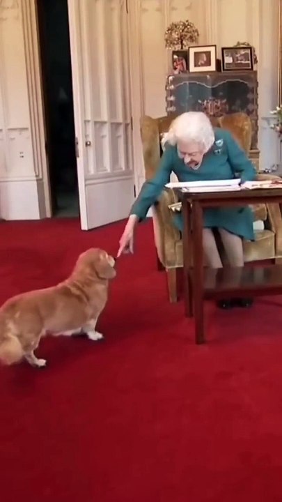 La reina Isabel II y uno de sus perros corgi