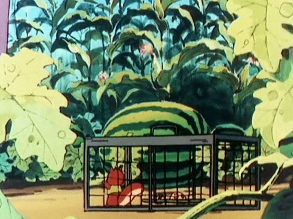 Puschel, das Eichhorn Staffel 1 Folge 8 HD Deutsch