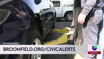 Robos de catalizadores