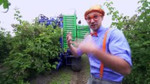 Blippi aprende sobre colores y las plantas | Aprende con blippi | Videos educativos para niños part 1