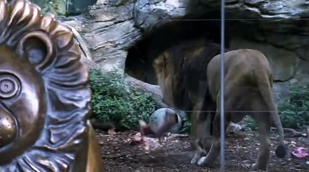 Schnell ermittelt Staffel 4 Folge 10 HD Deutsch