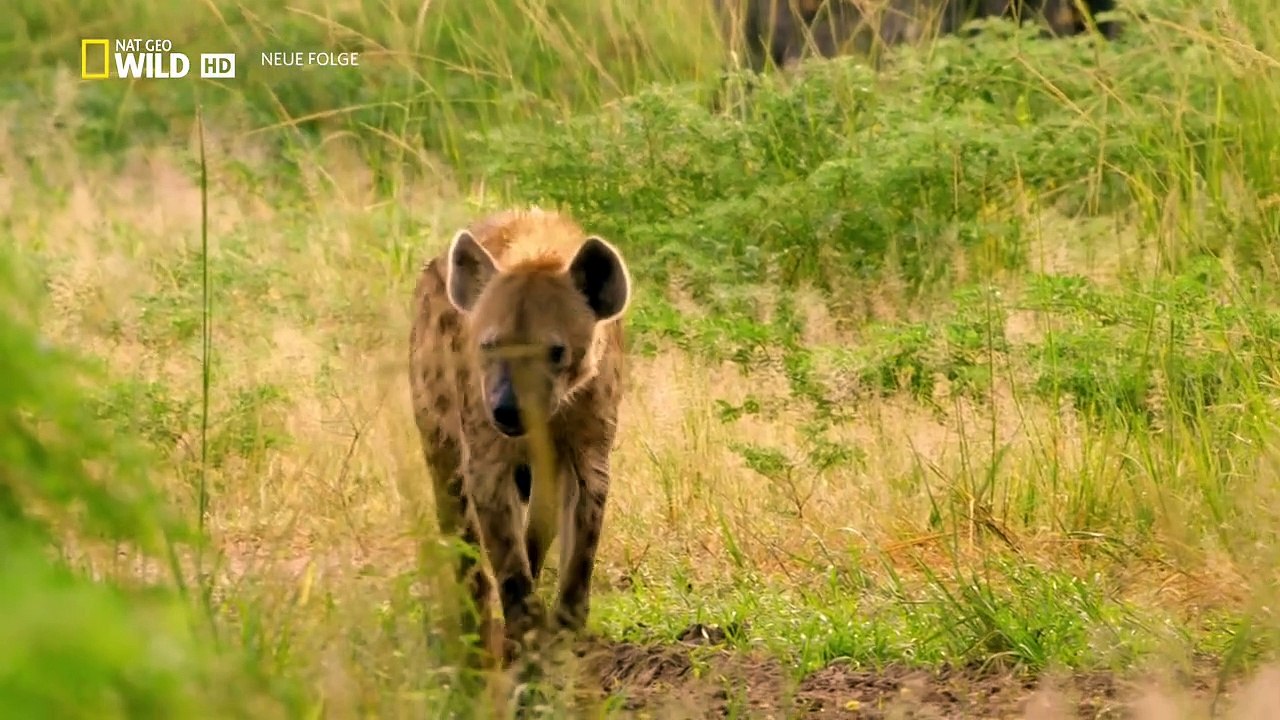 Afrikas Jäger Staffel 2 Folge 4 HD Deutsch