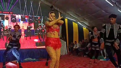 देर रात तक गानों और नृत्य पर झूमते रहे दर्शक
