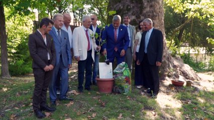 Pavia, giuramento di Ippocrate per 100 giovani medici