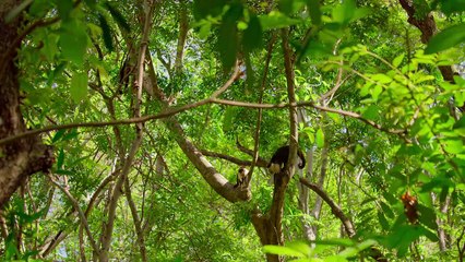 Wilde Babys Staffel 1 Folge 4 HD Deutsch