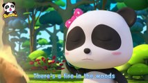 What is Hank Looking at? | Rescue Baby Panda | Super Panda Rescue Team | BabyBus