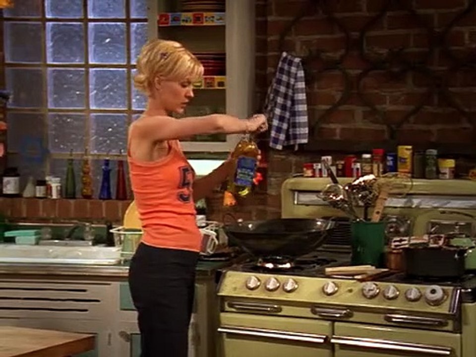 Dharma & greg staffel 2 folge 4 hd deutsch