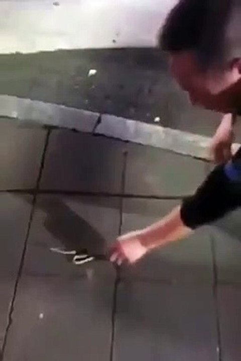 Un homme a la mauvaise idée de ramasser un serpent sur le trottoir