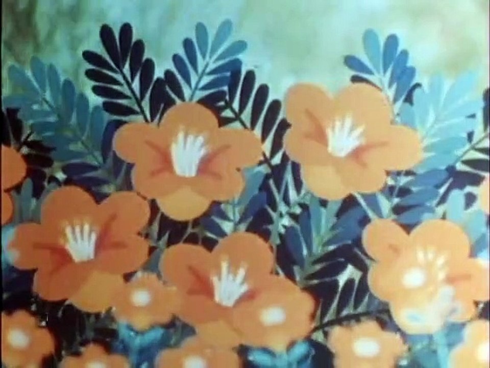 Tao Tao - Tiergeschichten aus aller Welt Staffel 1 Folge 11 HD Deutsch