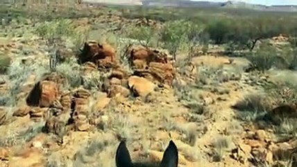 Horses for Courses raises awareness for bush kids | September 14, 2022 | Katherine Times