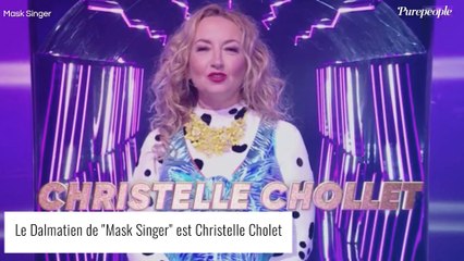 Mask Singer 4 - Le Dalmatien démasqué : son identité avait déjà été ciblée par les enquêteurs !