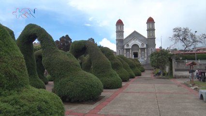 mqn-Emblemático parque de Zarcero está enfermo y usted puede ayudar a salvarlo-130922