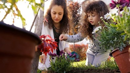 How to keep your home garden vibrant through the fall