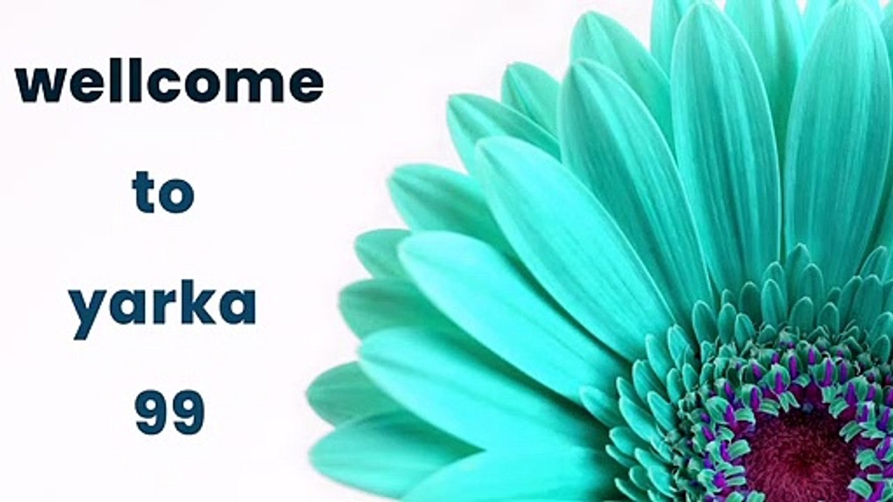 Sources Of Iron From Plants, Non-haem Iron Can Still Provide An Adequate Amount Of Iron