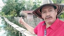 Habitante de La Mojana  denuncia olvido y desaparición de la ganadería en 13 meses