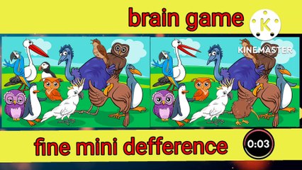 New lite puzzle IMG #1 carton video funny video