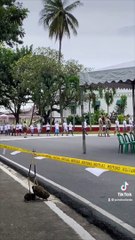 Mga pinalaya mula sa Bilibid at iba pang kulungan