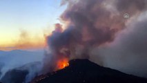 Muğla’da orman yangınına müdahale ediliyor
