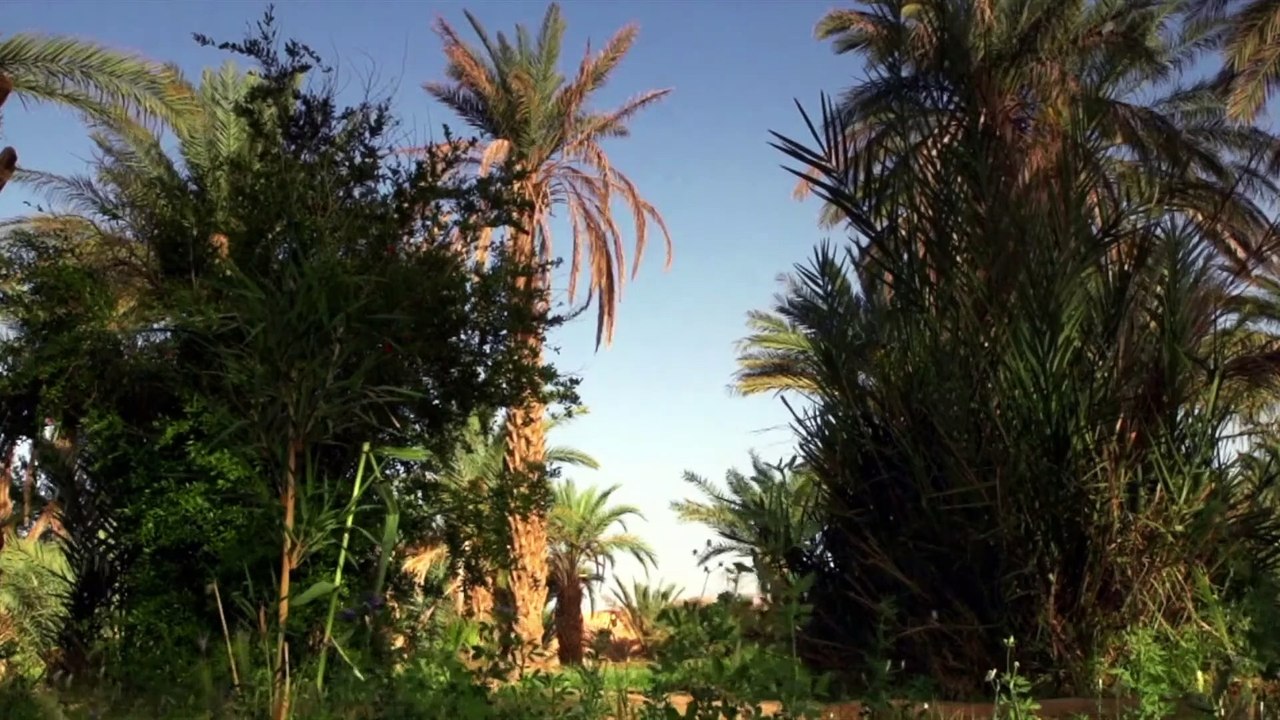 10 Wonderful Places to Visit in Morocco  - Must Watch Morocco Travel Guide