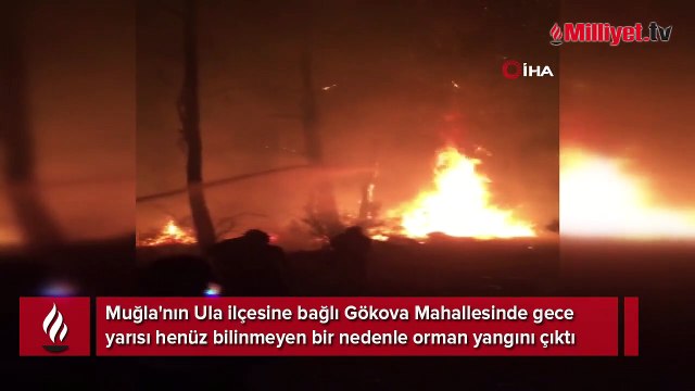 Muğla'da korkutan orman yangını! Ekipler bölgede