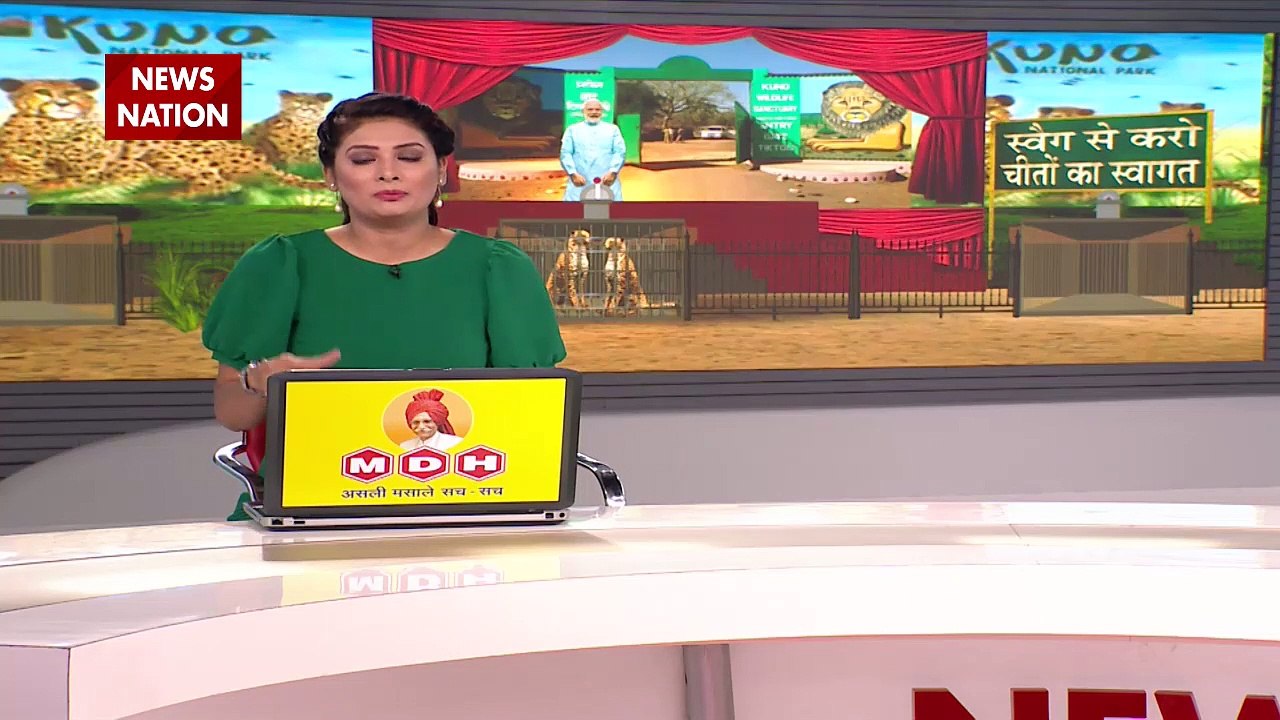 Madhya Pradesh Breaking : 70 साल बाद भारत में होगी चीतों की वापसी.. MP में घर हुआ तैयार | MP News |