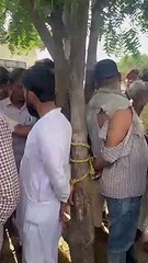 देखिये वीडियो...अपहरण कर ले जा रहे थे किशोर को...ग्रामीणों ने पेड़ से बांधकर की धुनाई