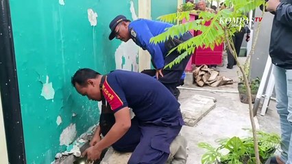 Geger ! Puluhan Ular Kobra Teror Warga Rusunawa Lumajang