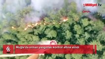 Muğla’da orman yangınları kontrol altına alındı