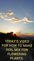 soil mix for flowering plants