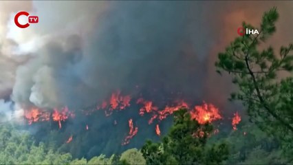 Marmaris’te ormanı yakmıştı, 20 yıl hapsi istendi