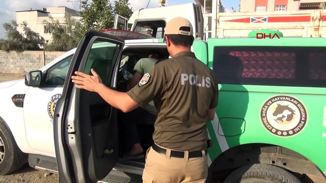 Yorulan atı yumruklayan seyyar satıcı gözaltına alındı