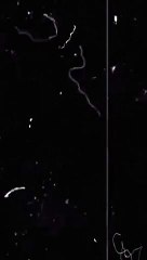 🔥 Fresh New Song & Stylish Shorts Video | Must-See Music & Fashion!