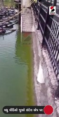 રાજકોટની જીવાદોરી સમાન આજી-1 ડેમ છલકાયો