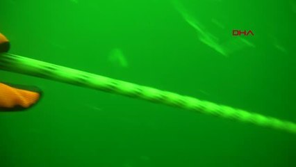 PROF. DR. AYAZ DENİZ SUYUNDA HIZLI SOĞUMA OLURSA MÜSİLAJLA TEKRAR KARŞI KARŞIYA KALMAYIZ