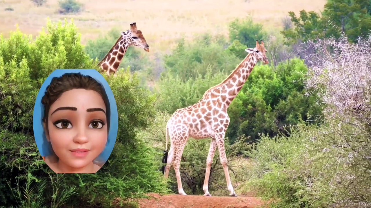 How To Draw a Giraffe: The Fun and Easy Guide