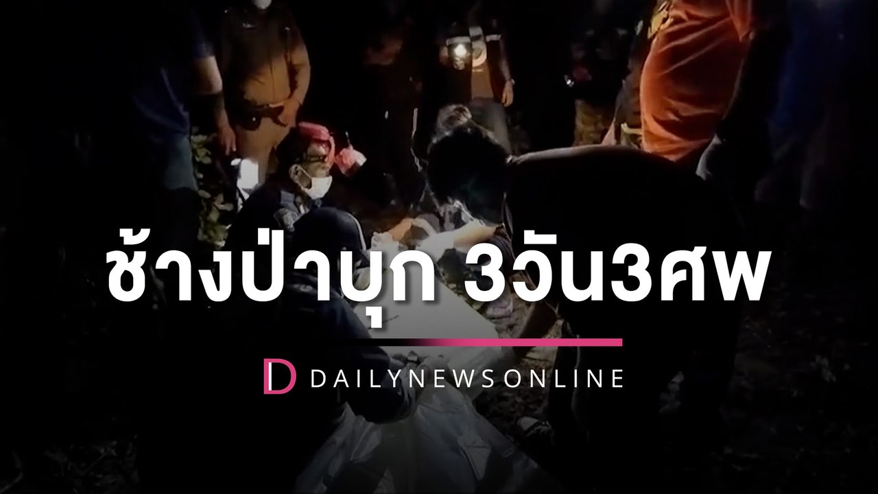 3วัน3ศพ! ช้างป่าบุกสวนลำไยทำร้ายจนท.ป่าไม้ดับอีกหลังฆ่าพระสงฆ์ | HOTSHOT เดลินิวส์ 14/09/65