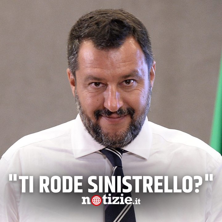 Salvini e la lite con un hater su TikTok: "Rosicone. Voglio stare coi miei amici fin quando voglio”