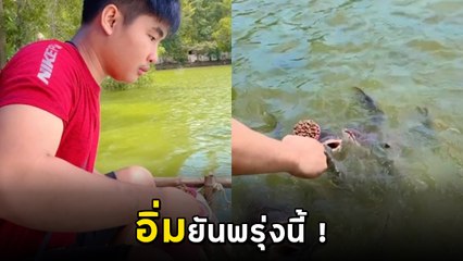 ผุดวิธีให้อาหารปลาแบบใหม่ เร็วทันใจจนเป็นไวรัลล้านวิว