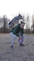 Dog jumping on women hd.mp4