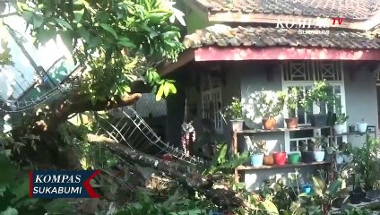 Truk Muatan Hebel Hantam Pohon Dan Pagar Rumah