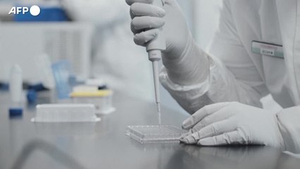 Scienziati a politici: "Date un futuro alla ricerca"