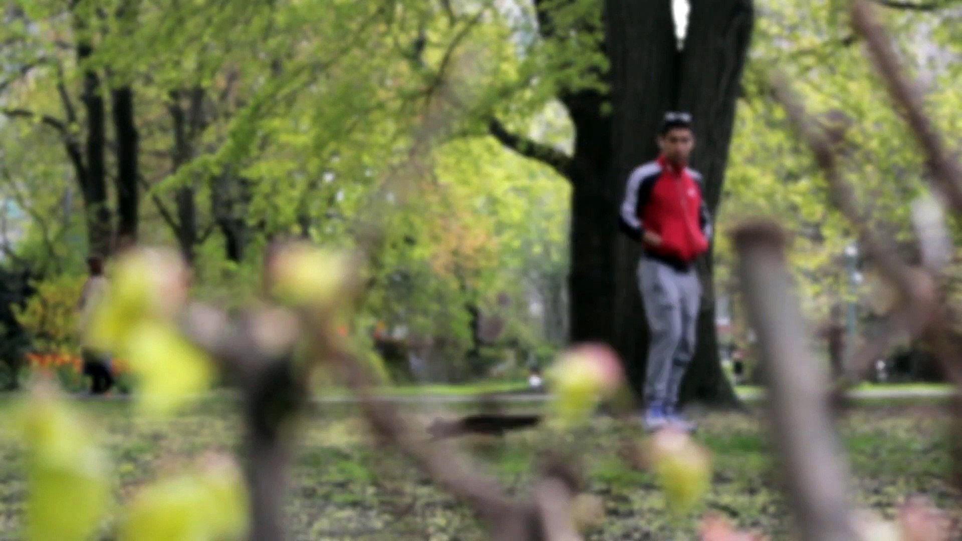 Meditation music piano music sleep music