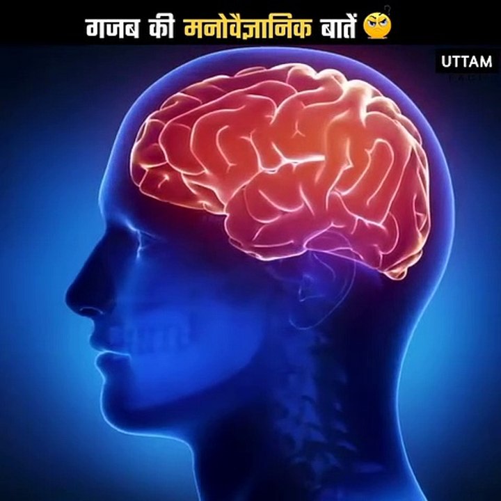 Intresting Fact  F or You