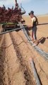 Awesome agriculture work and moments | World Incredible Modern Agricultural Equipment and Machinery | Best Satisfying video for smart farmers