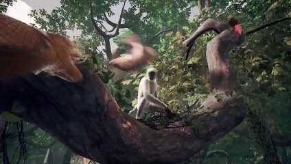 African Jungle Game - Part3