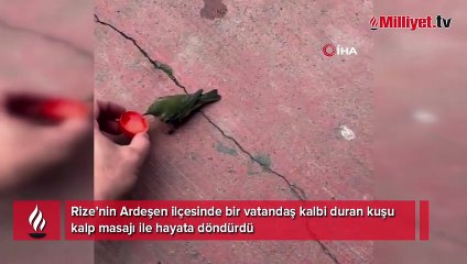 Kuşu kalp masajıyla hayata döndürdü